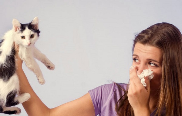 Як позбудеться запаху котячої сечі