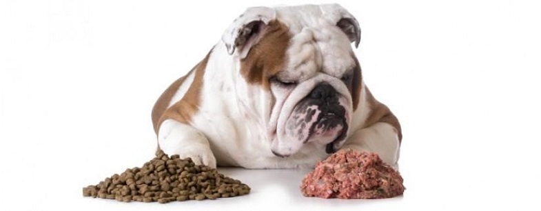 Змішане годування собаки сухим та вологим кормом