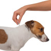 Краплі для собак вагою від 10-25кг Bayer Advantix від бліх і кліщів - 2