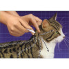 Краплі для котів і кошенят до 4кг Bayer Advantage 40 від бліх, 0.4мл - 2