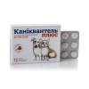 Таблетки для котів і собак Haupt Pharma Каніквантел Плюс від глистів, №12 - 2