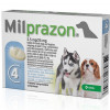 Таблетки для собак для дрібних порід 0,5-5кг  KRKA Мілпразон від глистів, 2,5мг/25мг, №4 - 1