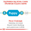 Сухий корм для цуценят Royal Canin Bulldog Puppy - 4
