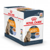 Вологий корм для котів Royal Canin Intense Beauty Care Jelly 85г - 9