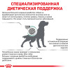 Лікувальний сухий корм для собак Royal Canin Diabetic - 4