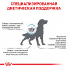 Лікувальний сухий корм для собак Royal Canin Skin Care Adult Canine - 5