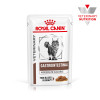 Лікувальний вологий корм для котів Royal Canin Gastrointestinal Moderate Calorie 85г - 2