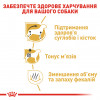 Сухий корм для собак Royal Canin Dachshund Adult - 6