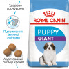 Сухий корм для цуценят Royal Canin Giant Puppy - 5