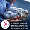 Лікувальний сухий корм для котів Hills Pescription Diet Gastrointestinal Biome - 5