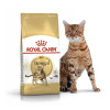 Сухий корм для котів Royal Canin Bengal Adult - 2