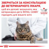 Лікувальний сухий корм для котів Royal Canin Diabetic Feline - 8