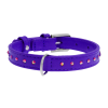 Нашийник для собак Collar Waudog Glamour зі стразами, фіолетовий - 1