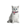 Нашийник для котів Collar Waudog Nylon з малюнком "Рожевий камо" - 3