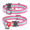 Нашийник для собак Collar Waudog Nylon світлонакопичувальний, металева пряжка-фастекс, рожевий - 1