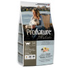 Сухий корм для котів Pronature Holistic Adult Salmon&Brown Rice - 1