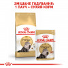 Сухий корм для котів Royal Canin Persian Adult - 6