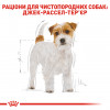 Сухий корм для собак Royal Canin Jack Russel Terrier Adult - 4