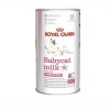 Замінник молока для кошенят Royal Canin Babycat milk - 2