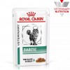 Лікувальний вологий корм для котів Royal Canin Diabetic Feline, 85г - 1