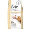 Лікувальний сухий корм для собак Brit VD Hepatic Dog - 1