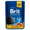 Вологий корм для котів Brit Premium з лососем і фореллю 100г - 1