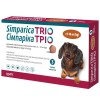 Жевательные таблетки для собак весом 5.1-10кг Simparica Trio от блох и клещей - 1