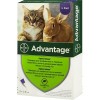 Краплі для котів і кошенят понад 4кг Bayer Advantage 80 від бліх, 0.8мл - 1