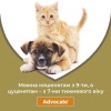 Краплі для собак вагою від 10-25кг Bayer Advocate проти кліщів, бліх і комарів - 5