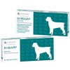 Таблетки для собак Arterium Енвайр від глистів 10 таблеток - 1