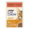 Вологий корм для кішок Purina Cat Chow Adult ніжні шматочки в желе з яловичиною та баклажанами - 1