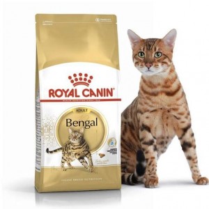 Сухой корм для котов Royal Canin Bengal Adult