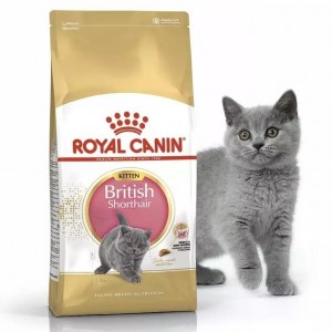 Сухий корм для кошенят Royal Canin British Shorthair Kitten