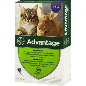Краплі для котів і кошенят понад 4кг Bayer Advantage 80 від бліх, 0.8мл
