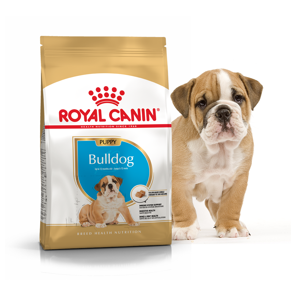 Сухий корм для цуценят Royal Canin Bulldog Puppy - 2