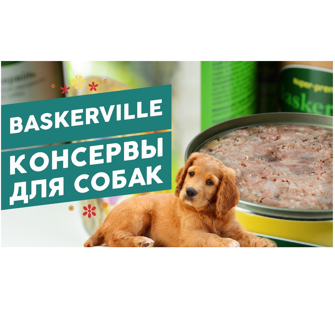 Вологий корм для собак Baskerville Баранина з картоплею і гарбузом - 4