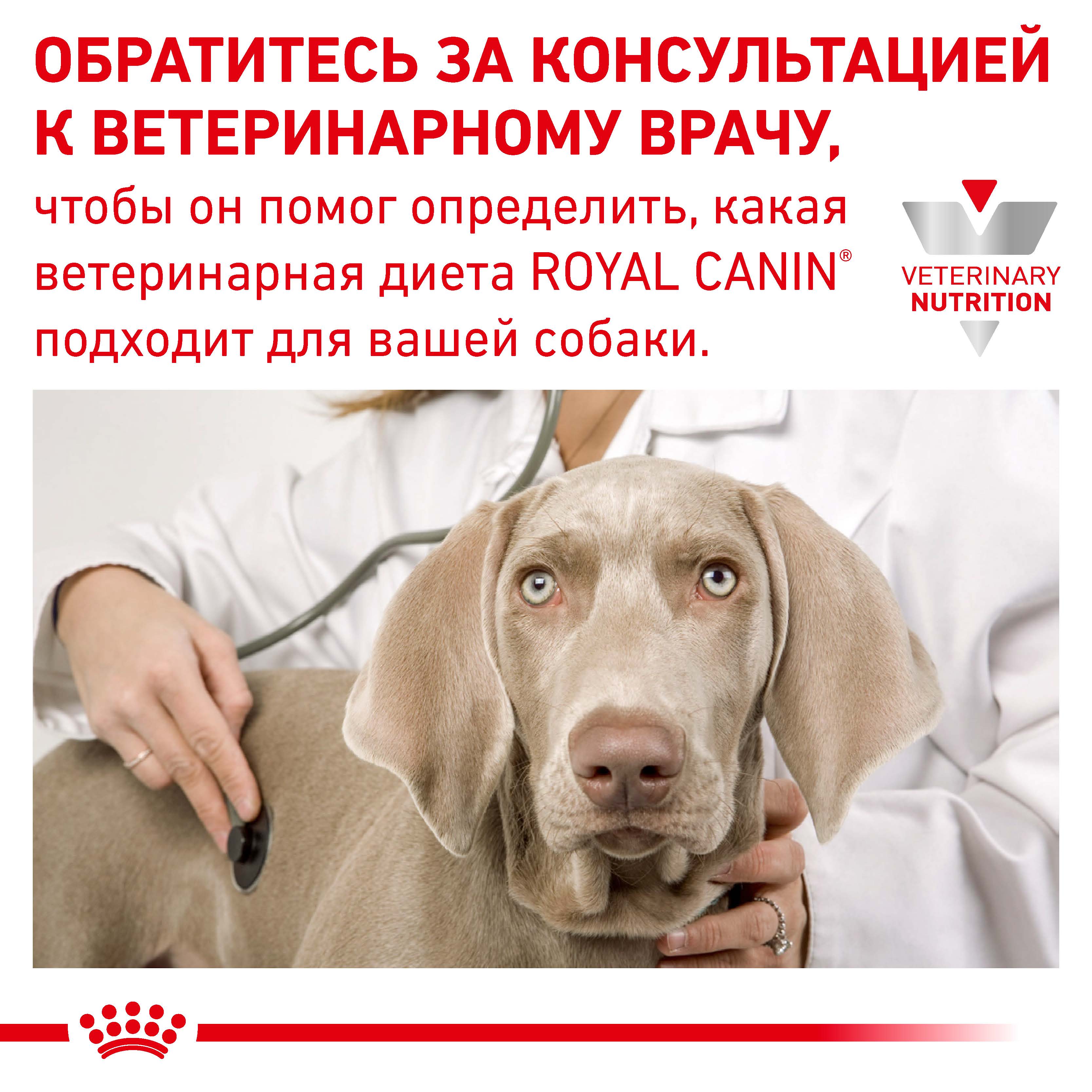 Лікувальний вологий корм для собак Royal Canin Urinary S/O Can 410 гр - 7