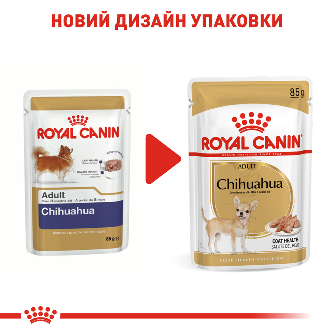 Вологий корм для собак Royal Canin Chihuahua Adult, 85 гр - 6