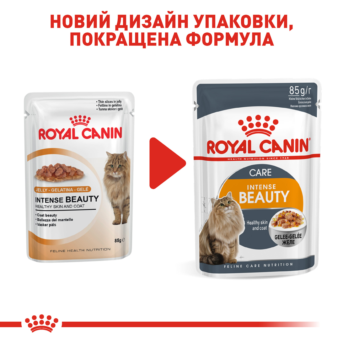 Вологий корм для котів Royal Canin Intense Beauty Care Jelly 85г - 3