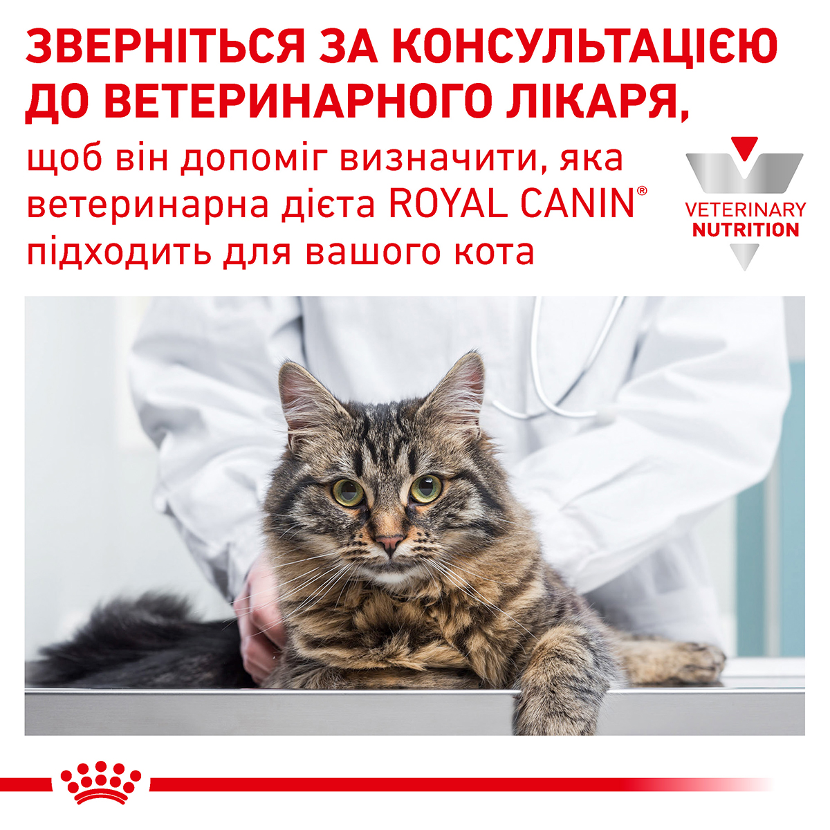Лікувальний вологий корм для котів Royal Canin Diabetic Feline, 85г - 10