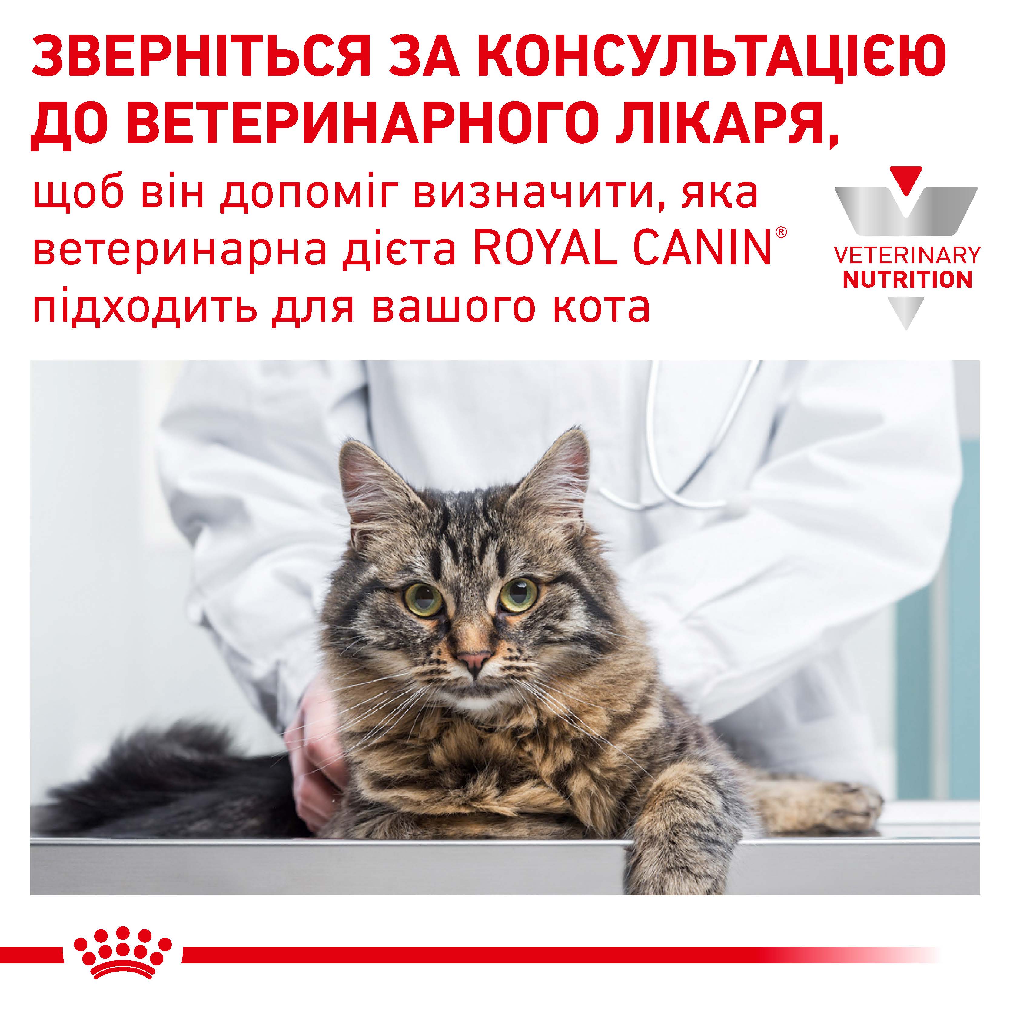 Лікувальний вологий корм для котів Royal Canin Urinary S/O Loaf 85г - 9