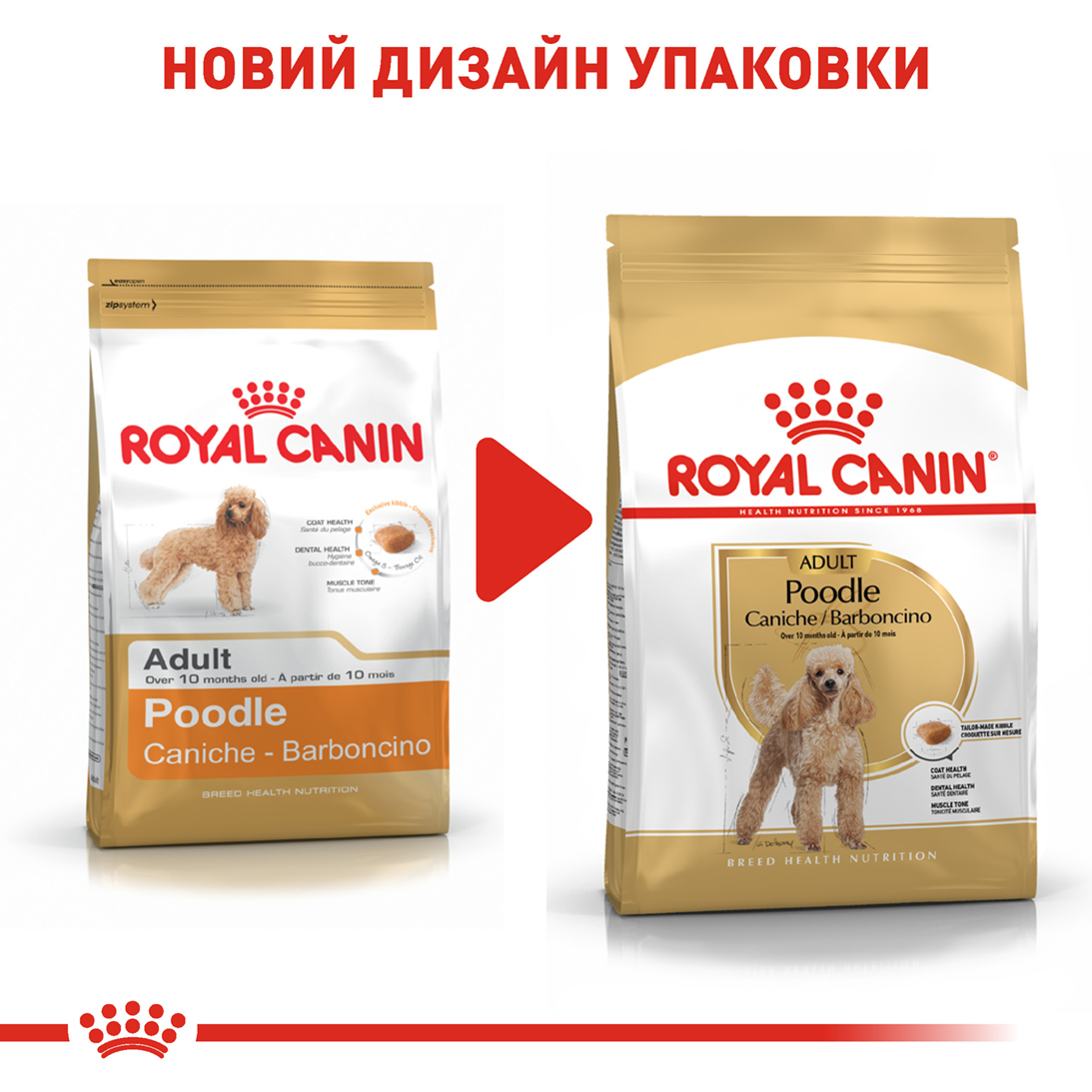 Сухий корм для собак Royal Canin Poodle Adult - 7