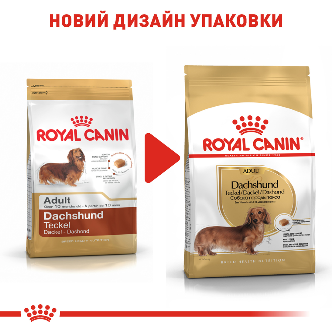 Сухий корм для собак Royal Canin Dachshund Adult - 7