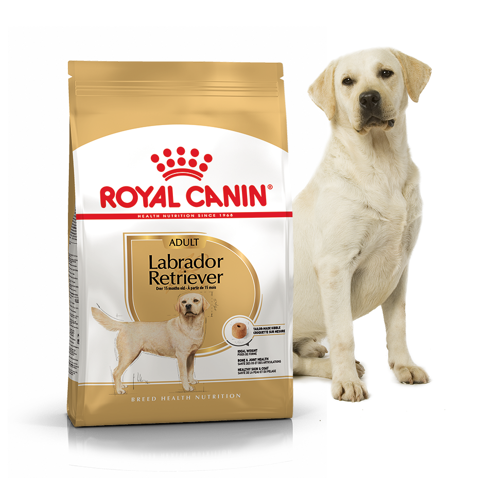 Сухий корм для собак Royal Canin Labrador Retriever Adult - 2