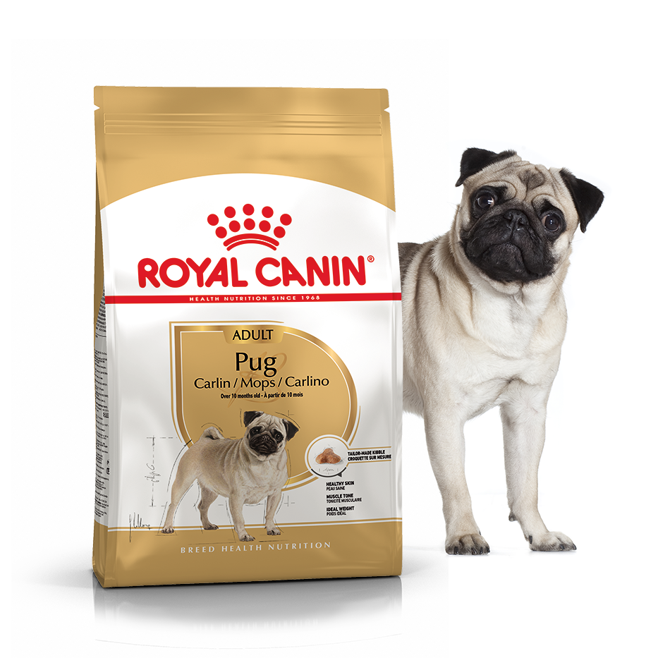 Сухий корм для собак Royal Canin Pug Adult - 2