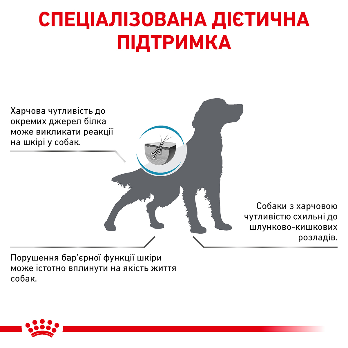 Лікувальний сухий корм для собак Royal Canin Hypoallergenic Canine - 7
