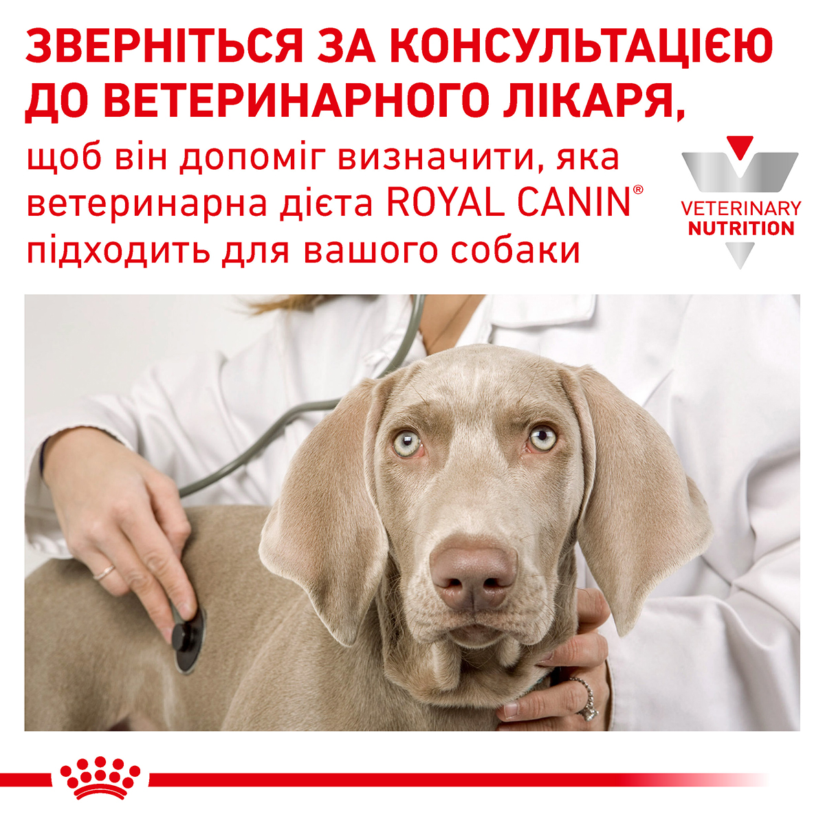 Лікувальний сухий корм для собак Royal Canin Sensitivity Control - 10