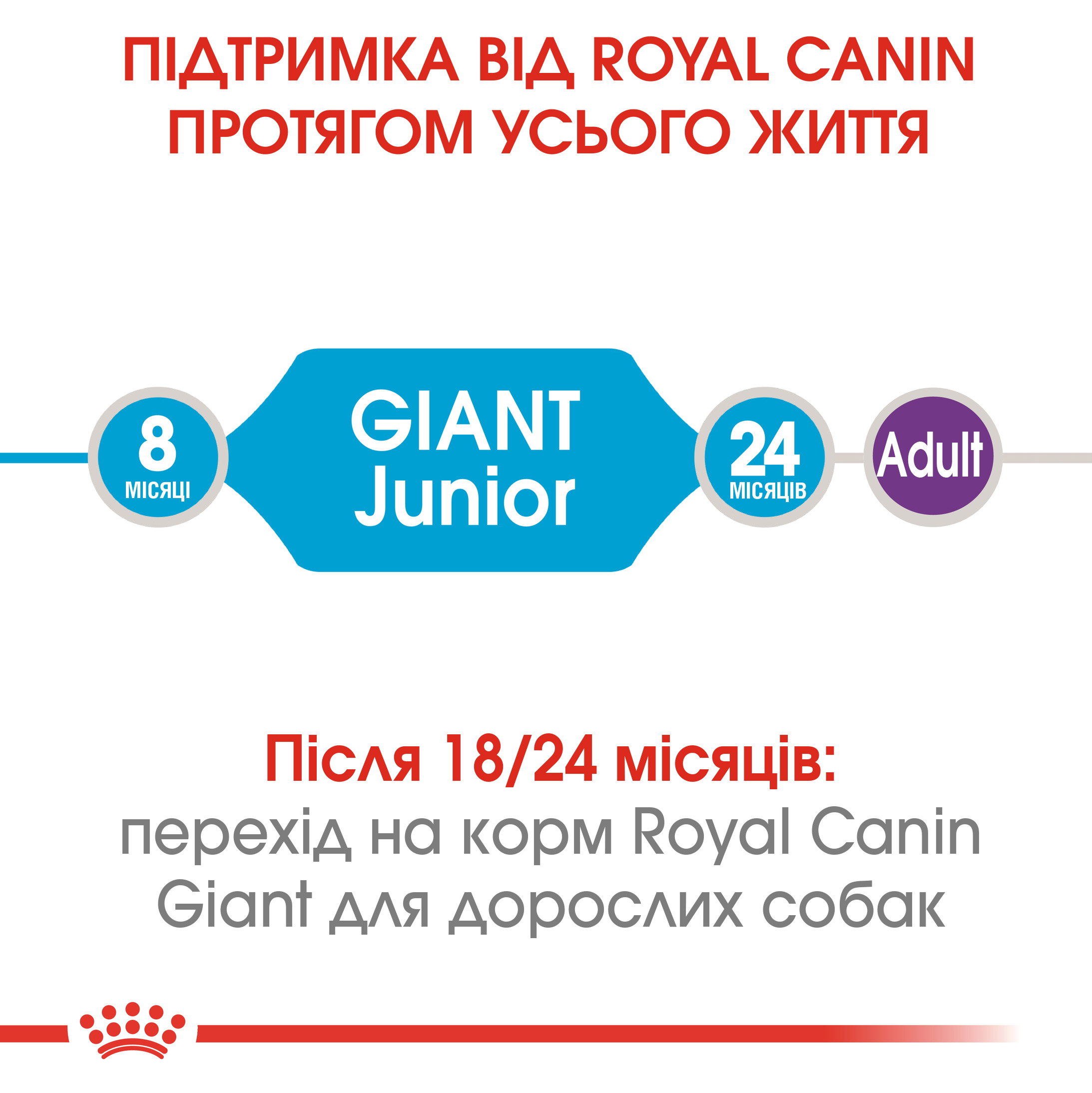 Сухий корм для собак Royal Canin Junior Giant 15 кг - 3