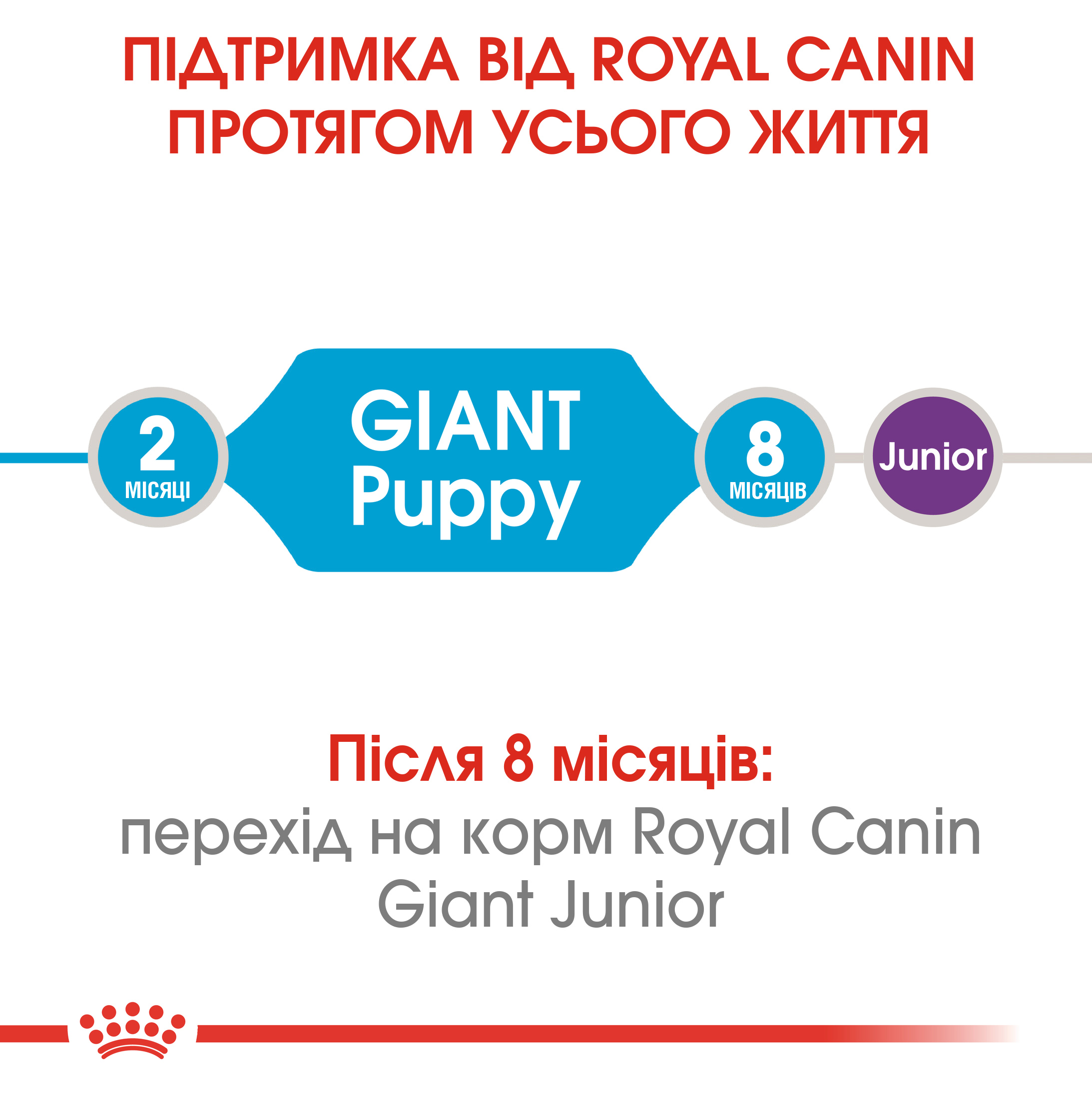 Сухий корм для цуценят Royal Canin Giant Puppy - 2