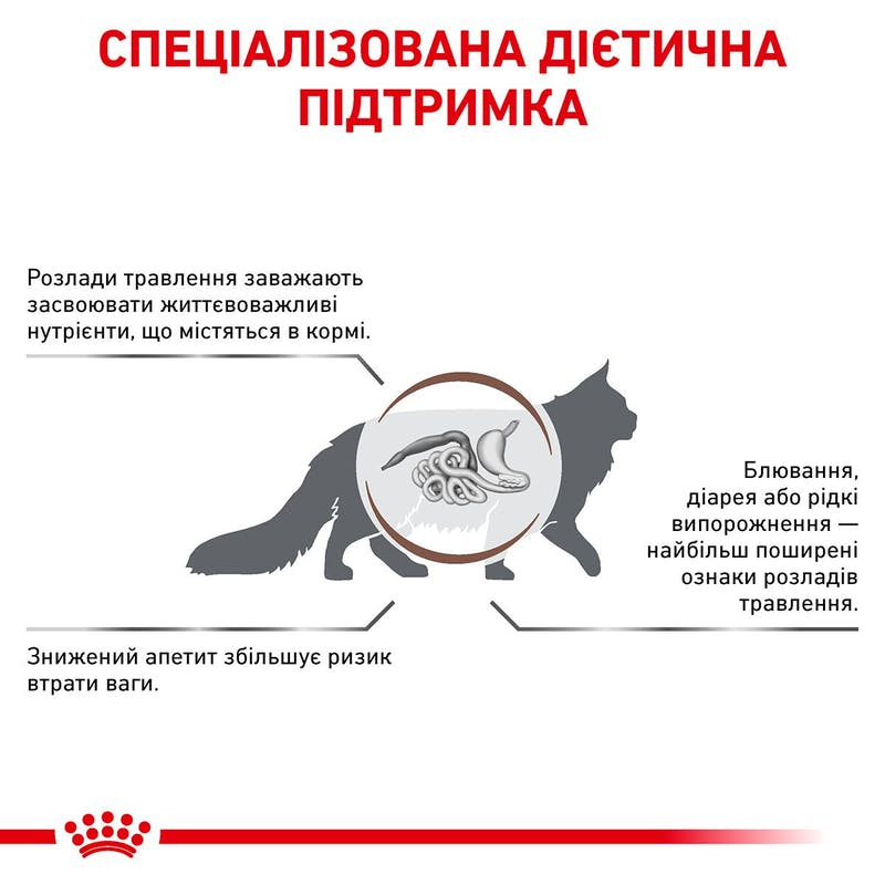 Лікувальний сухий корм для котів Royal Canin Gastrointestinal - 3